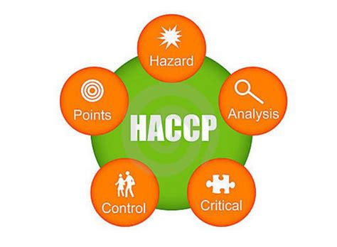 betekenis haccp|waar staat haccp voor nederlands.